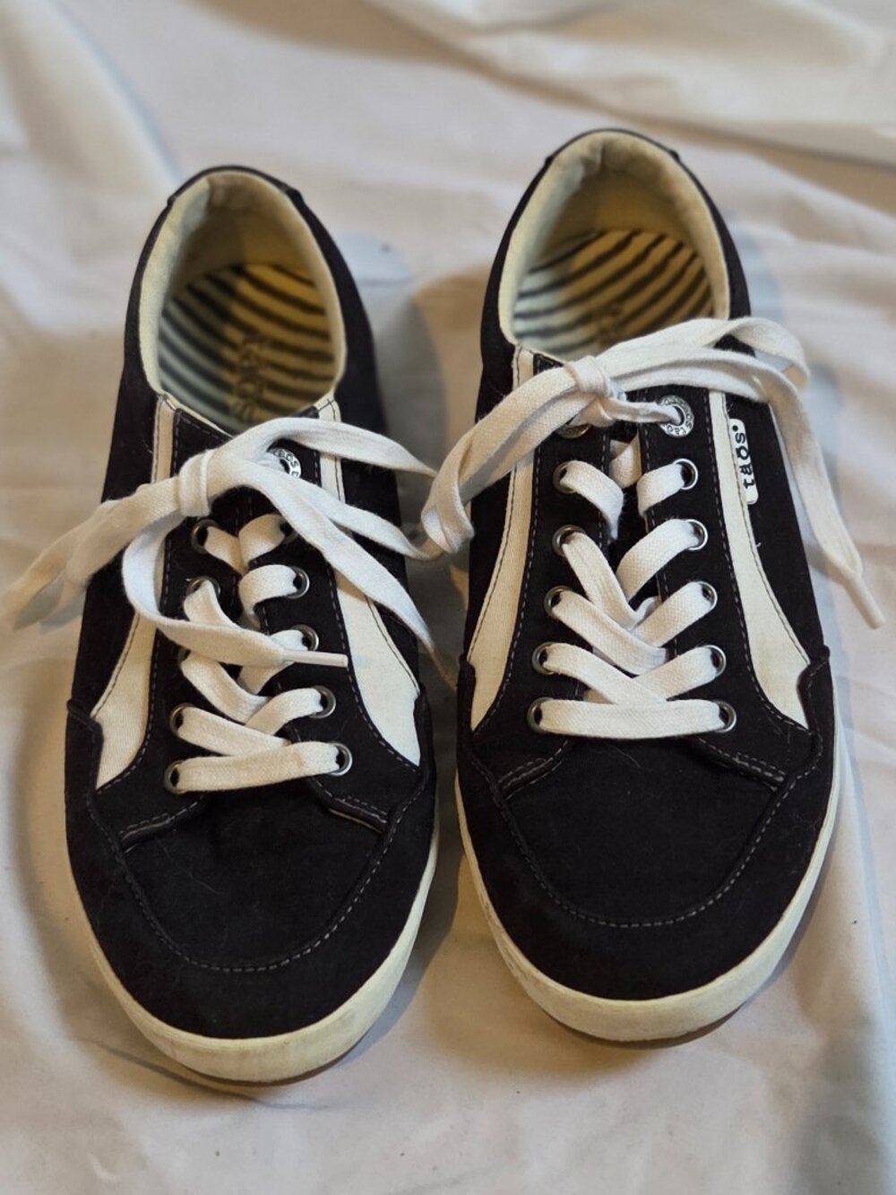 Taos Shooting Star Canvas Sneaker (9M)